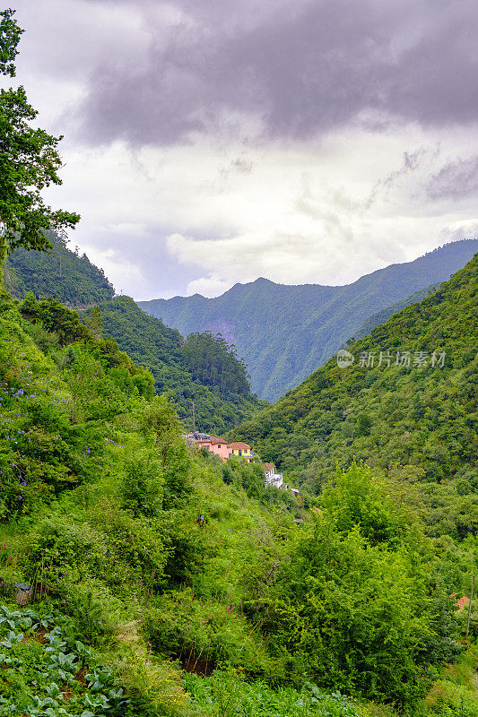 Forest view along the Vereda dos Balcões over Ribeiro Frio in the mountains of Madeira island